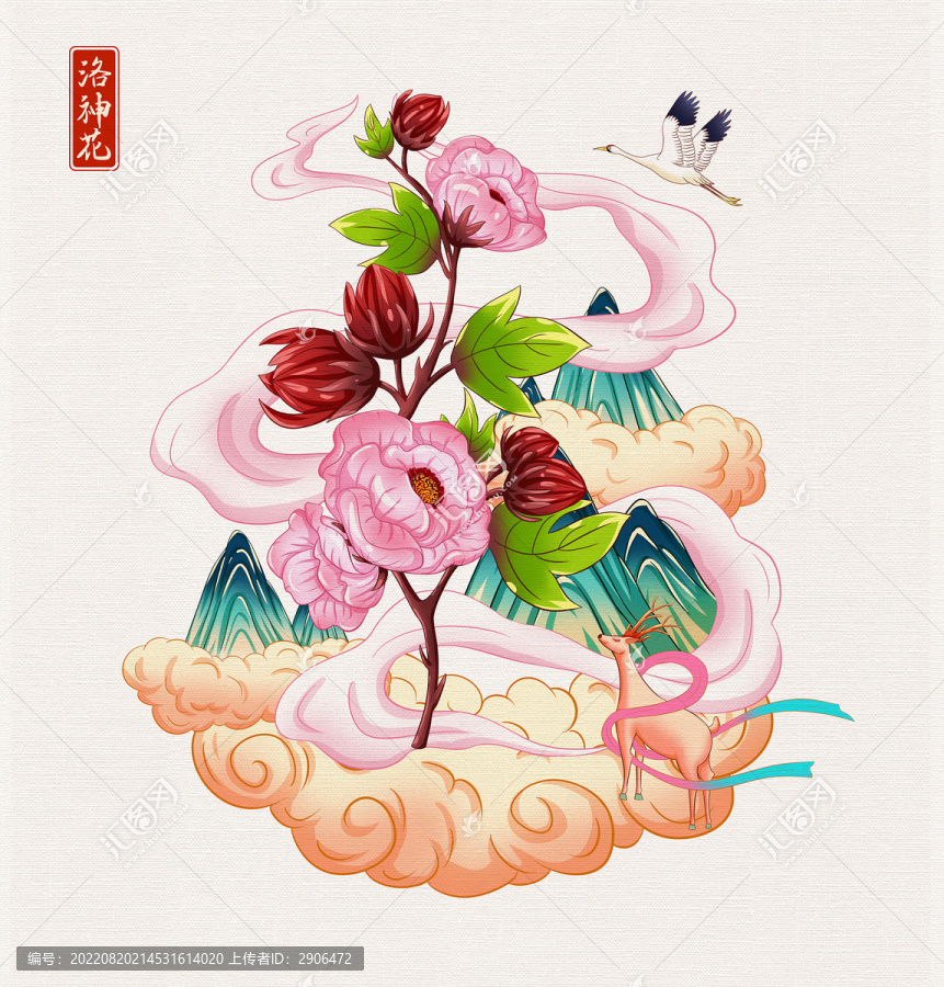 洛神花插畫