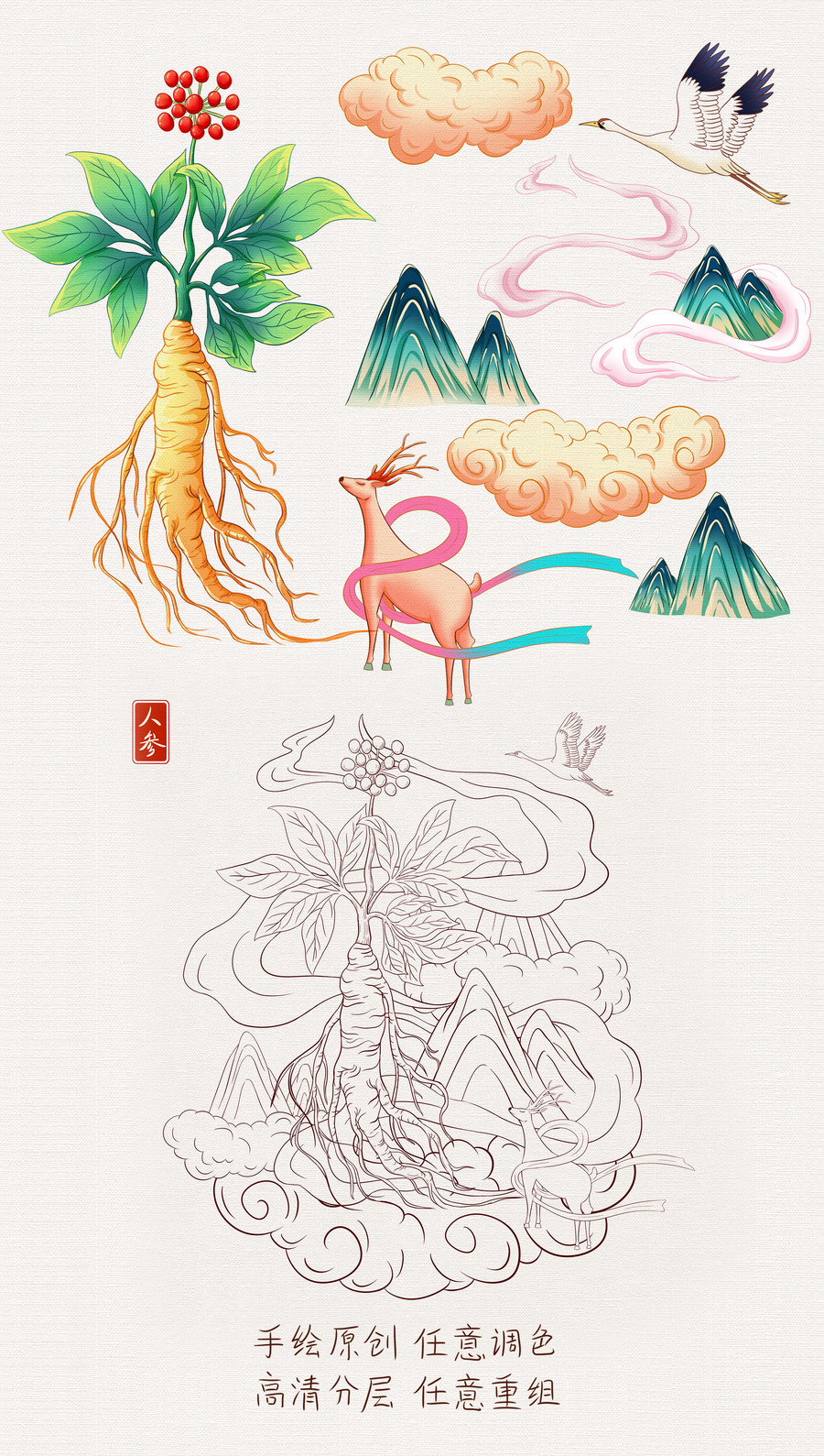國風(fēng)人參手繪插畫