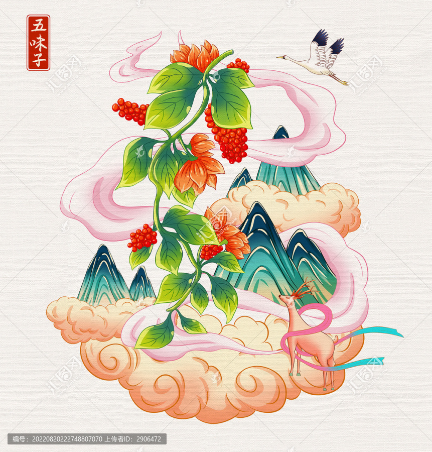 中草藥五味子插畫(huà)