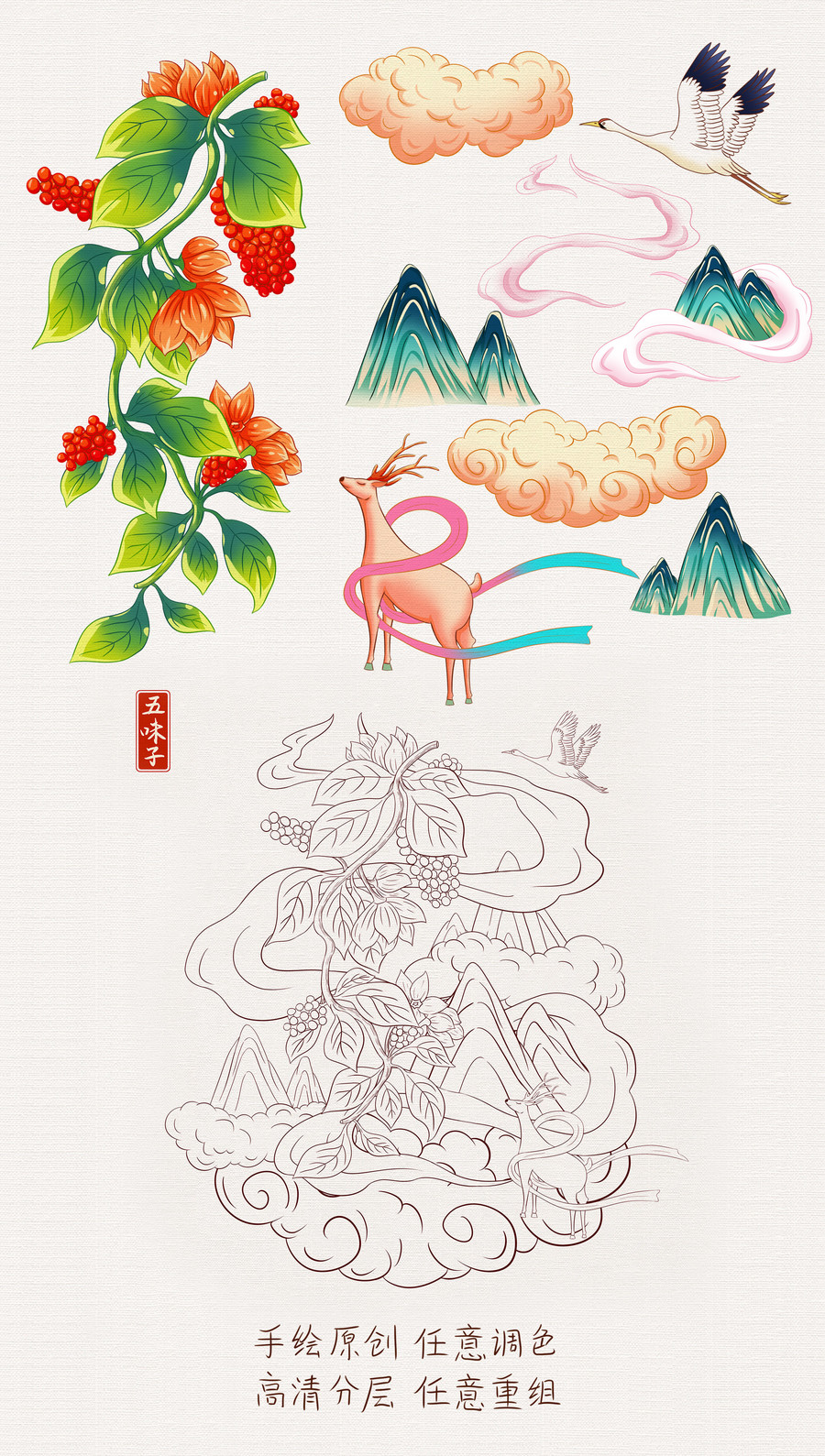 中草藥五味子插畫(huà)