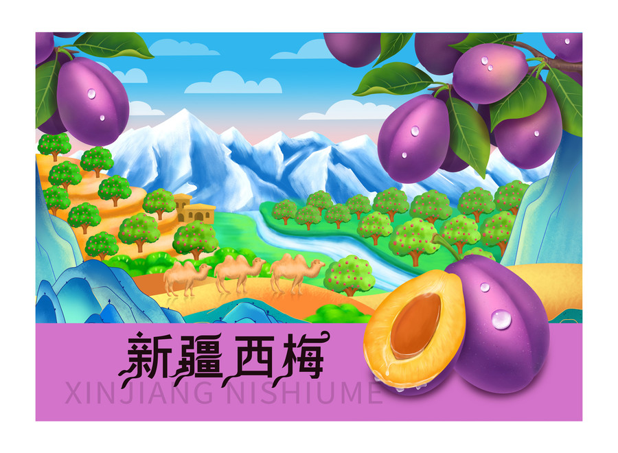 新疆西梅禮盒