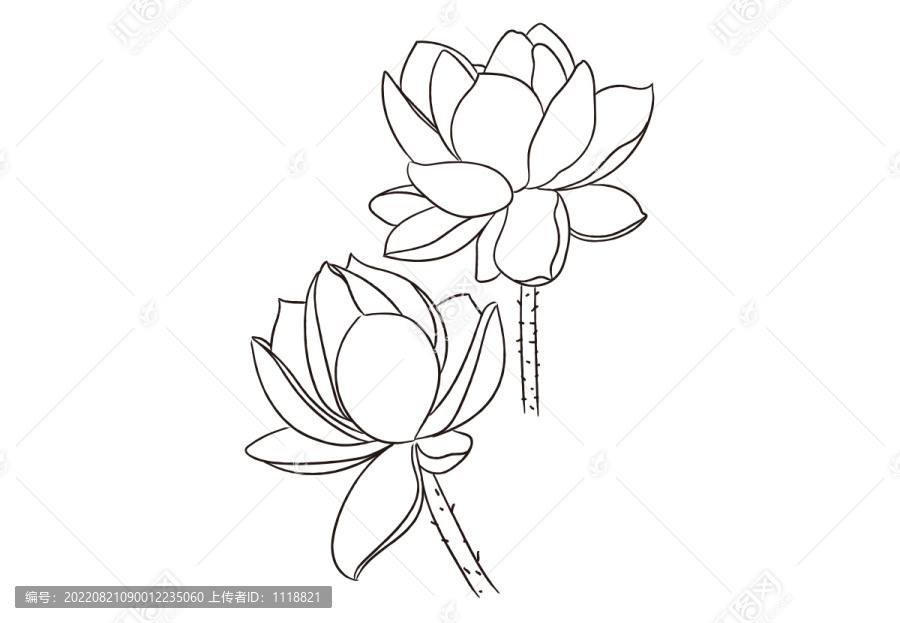 卡通中國風荷花圖案黑白描線
