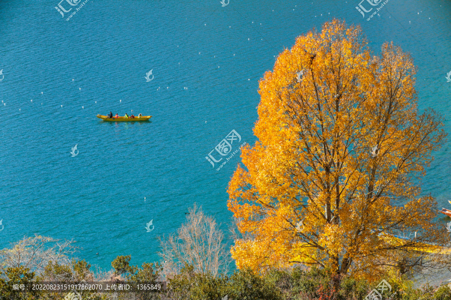 泸沽湖秋色