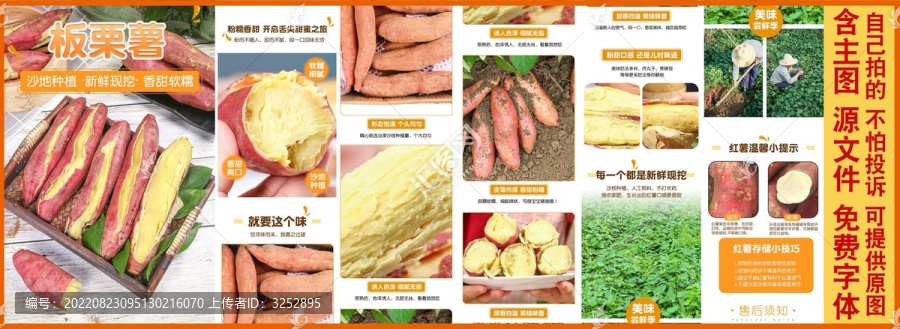 板栗薯詳情頁設(shè)計(jì)