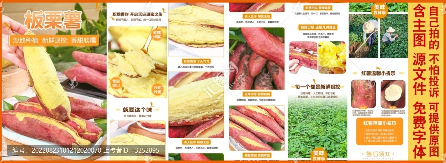 板栗紅薯詳情頁