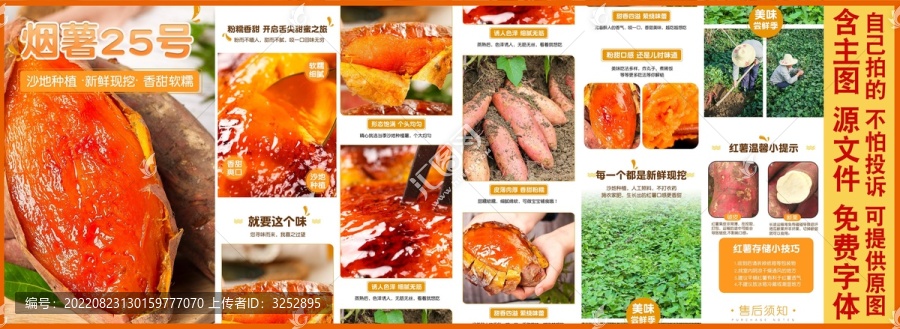 山東煙薯25號(hào)詳情頁