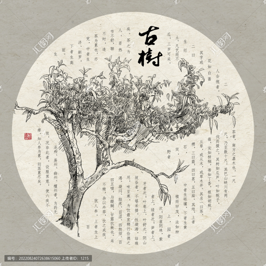 古樹茶速寫