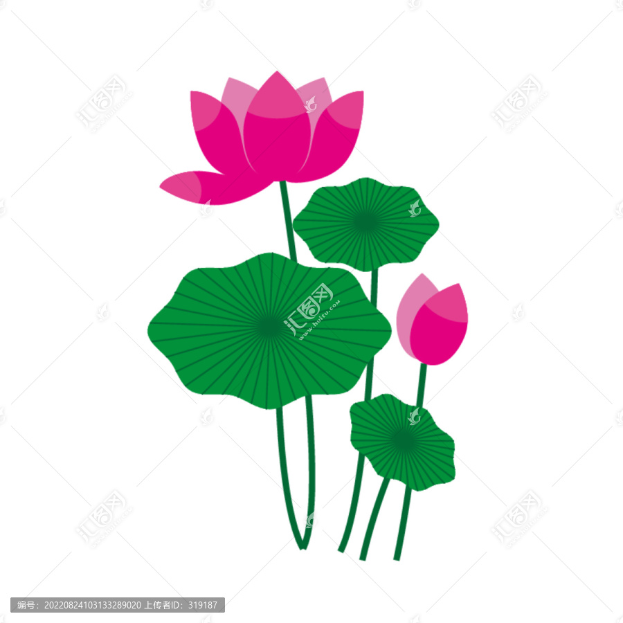 卡通荷花