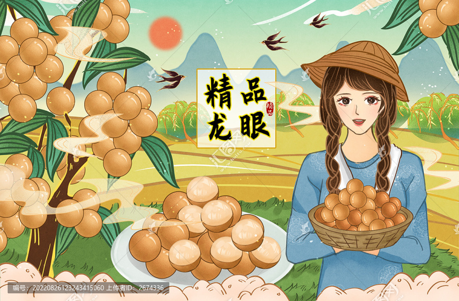 龍眼桂圓農(nóng)家女孩包裝插畫
