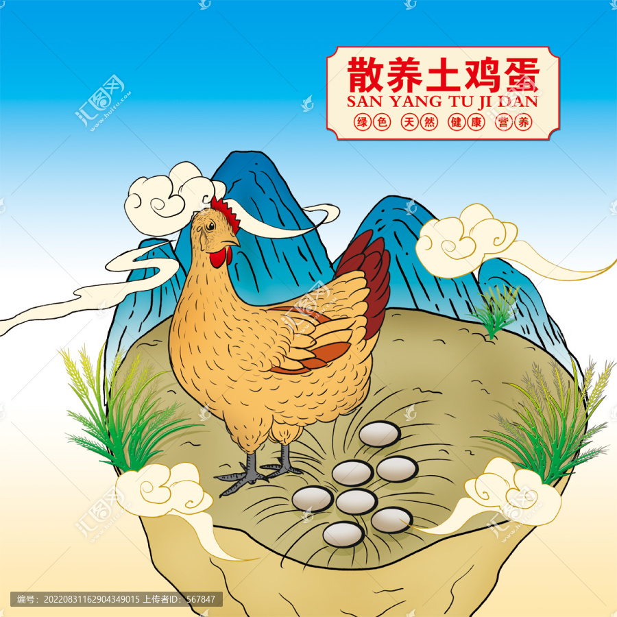 農(nóng)村散養(yǎng)土雞蛋包裝插畫