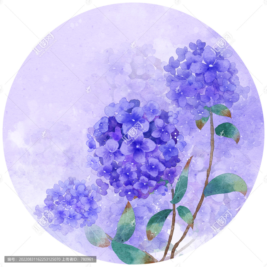 繡球花