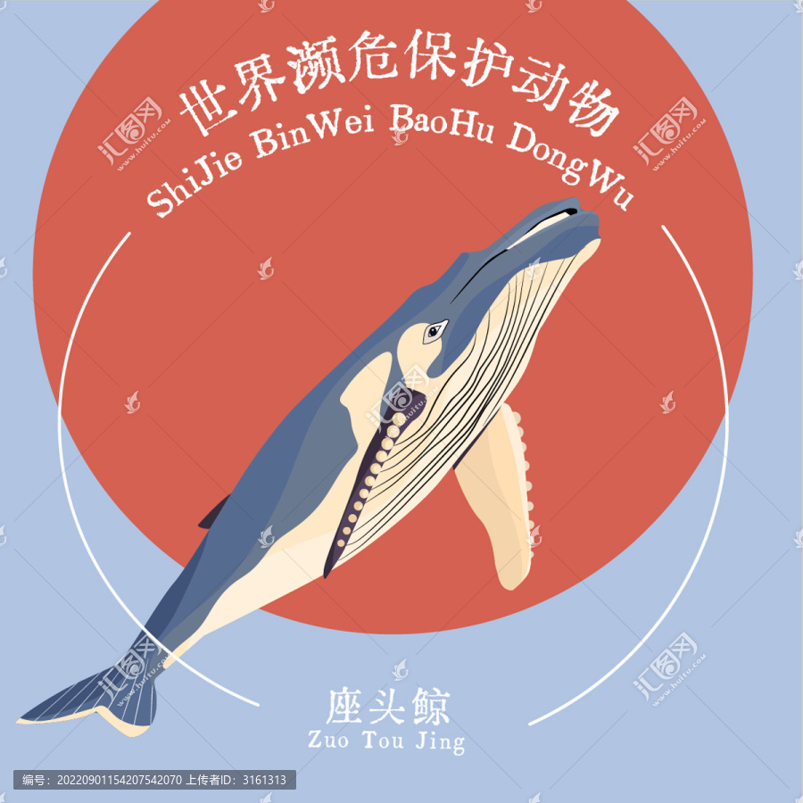 座頭鯨