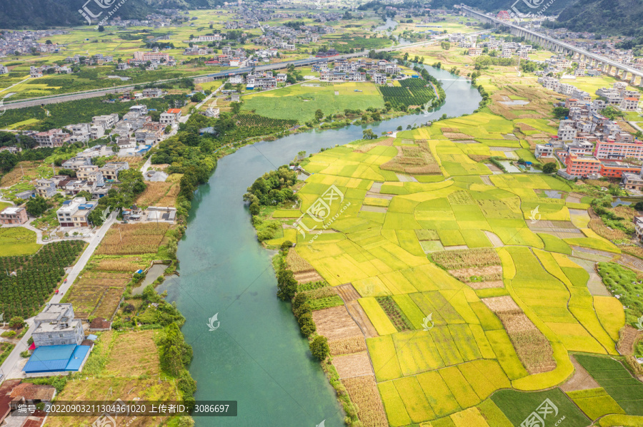 广西河池都安海菜花田园风光