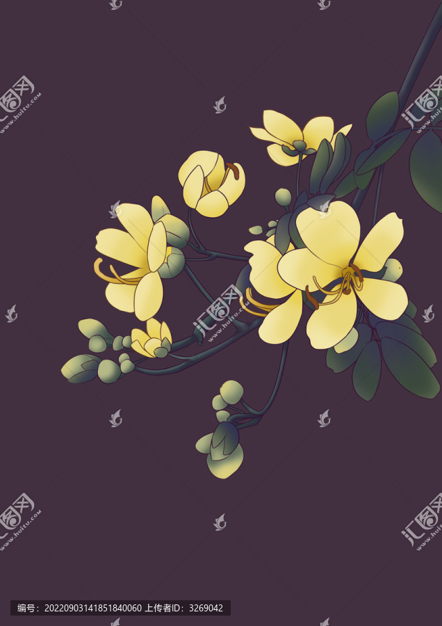 決明