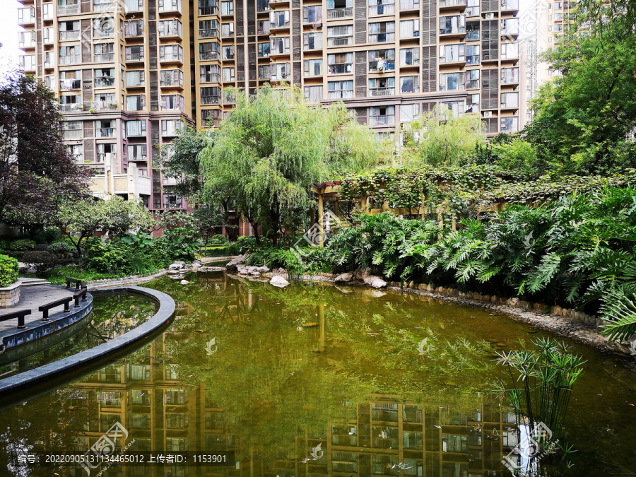 小区水景