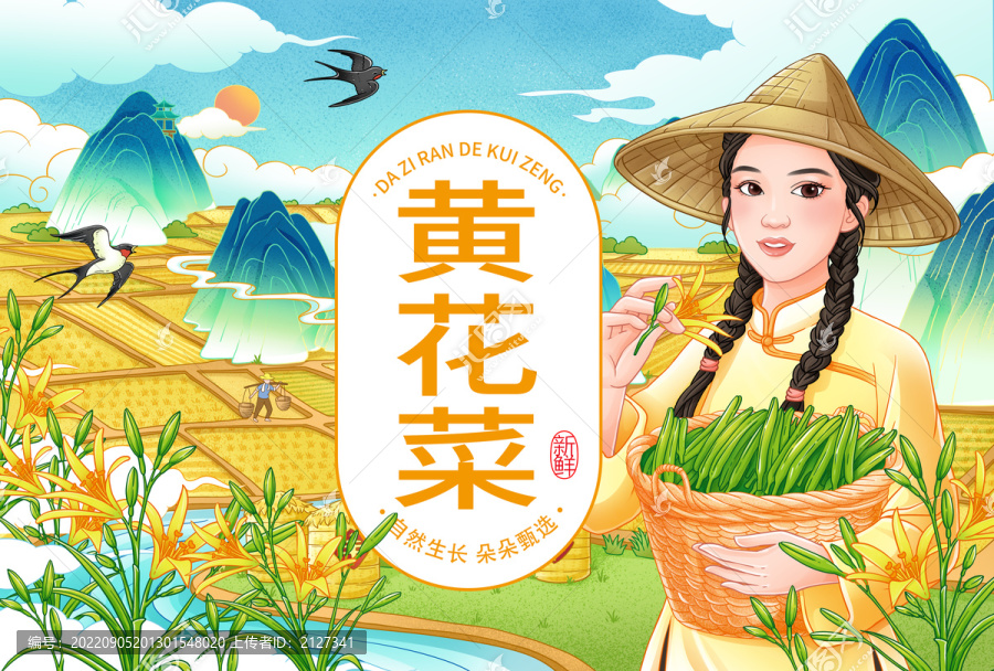 黃花菜手繪插畫