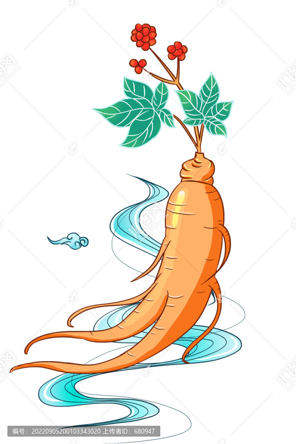 人參手繪插畫國(guó)潮中國(guó)風(fēng)中藥材