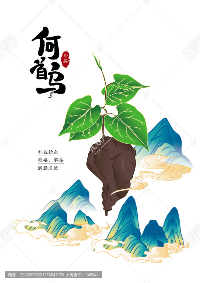 何首烏