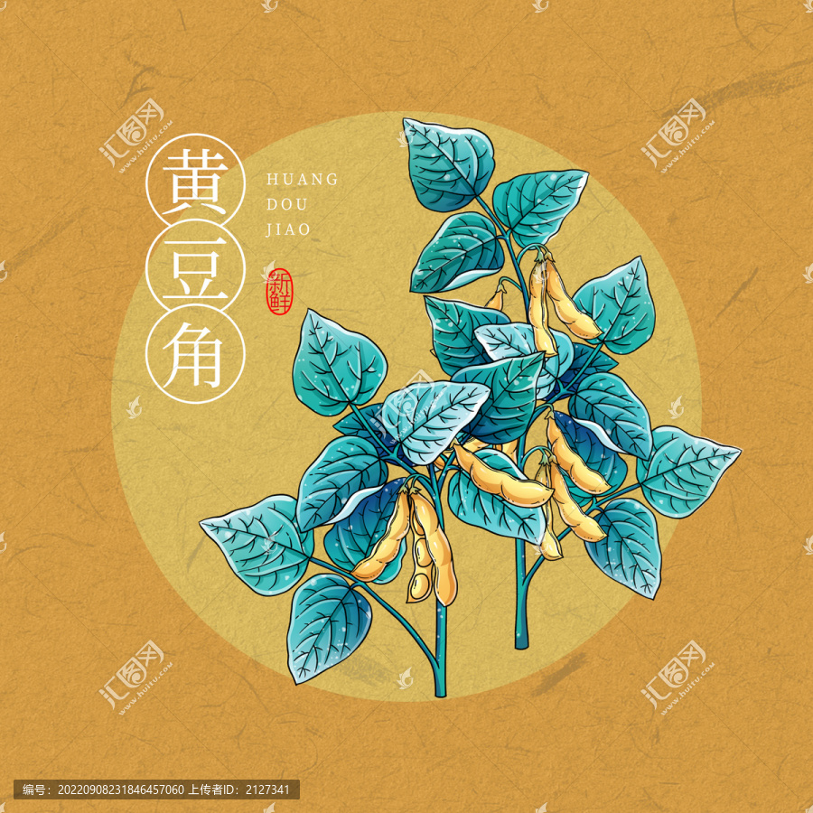 黃豆角插畫