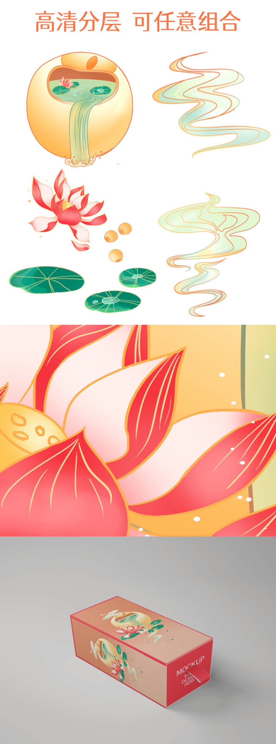 中草藥蓮子藕粉荷花插畫手繪