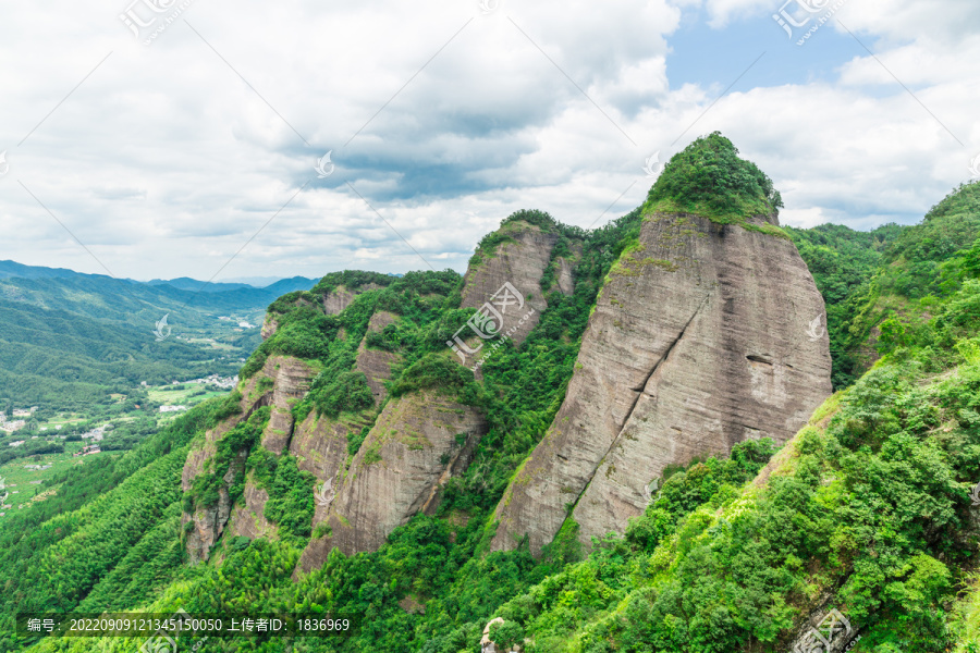 青山