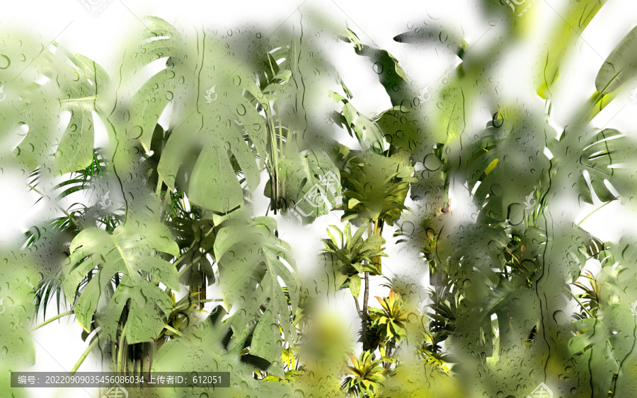 水珠雨滴芭蕉葉