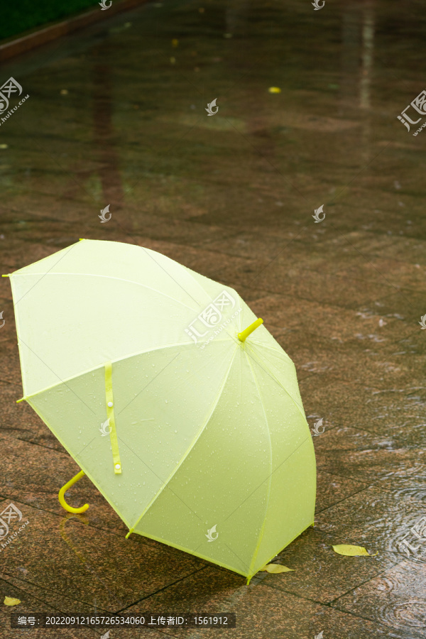 雨伞雨天下雨