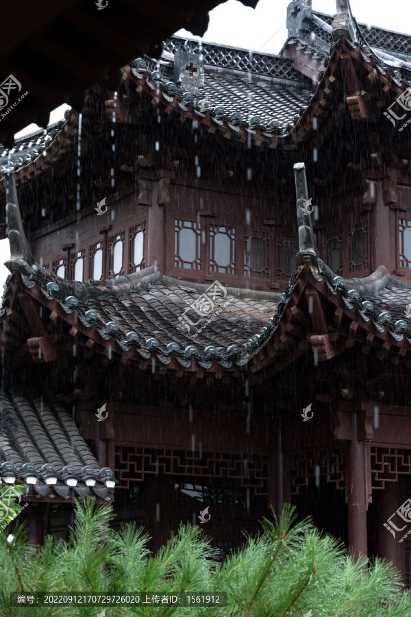 雨水雨天降雨