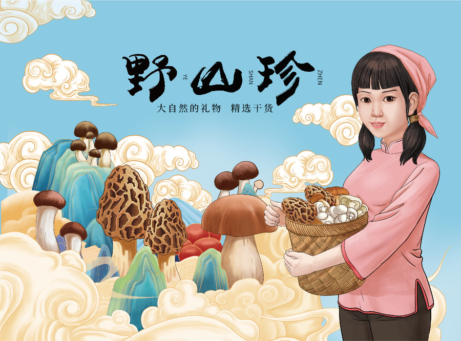 山珍禮盒設(shè)計(jì)