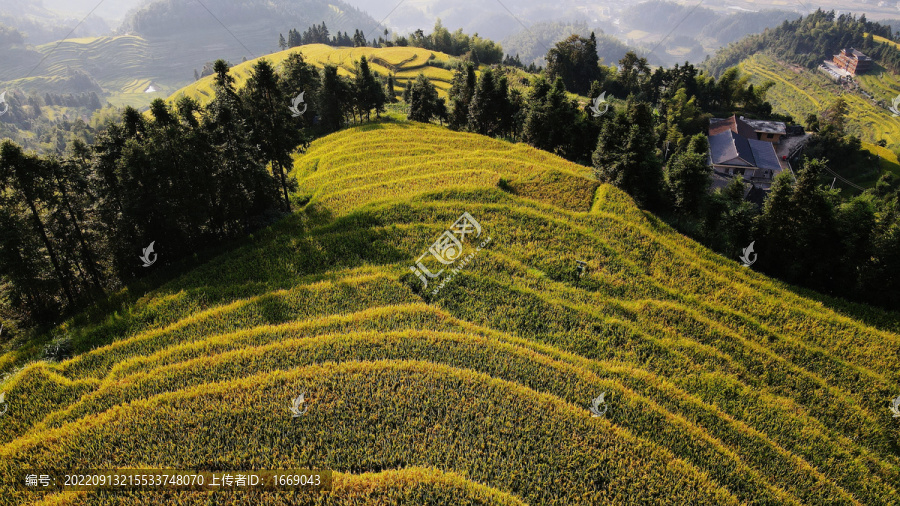 梯田乡村振兴秋景美丽乡村