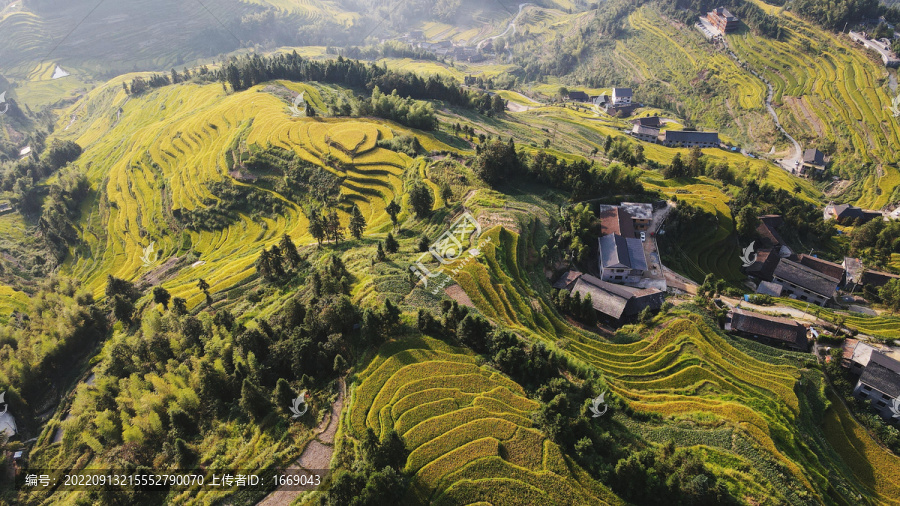 紫鹊界乡村振兴秋景美丽乡村