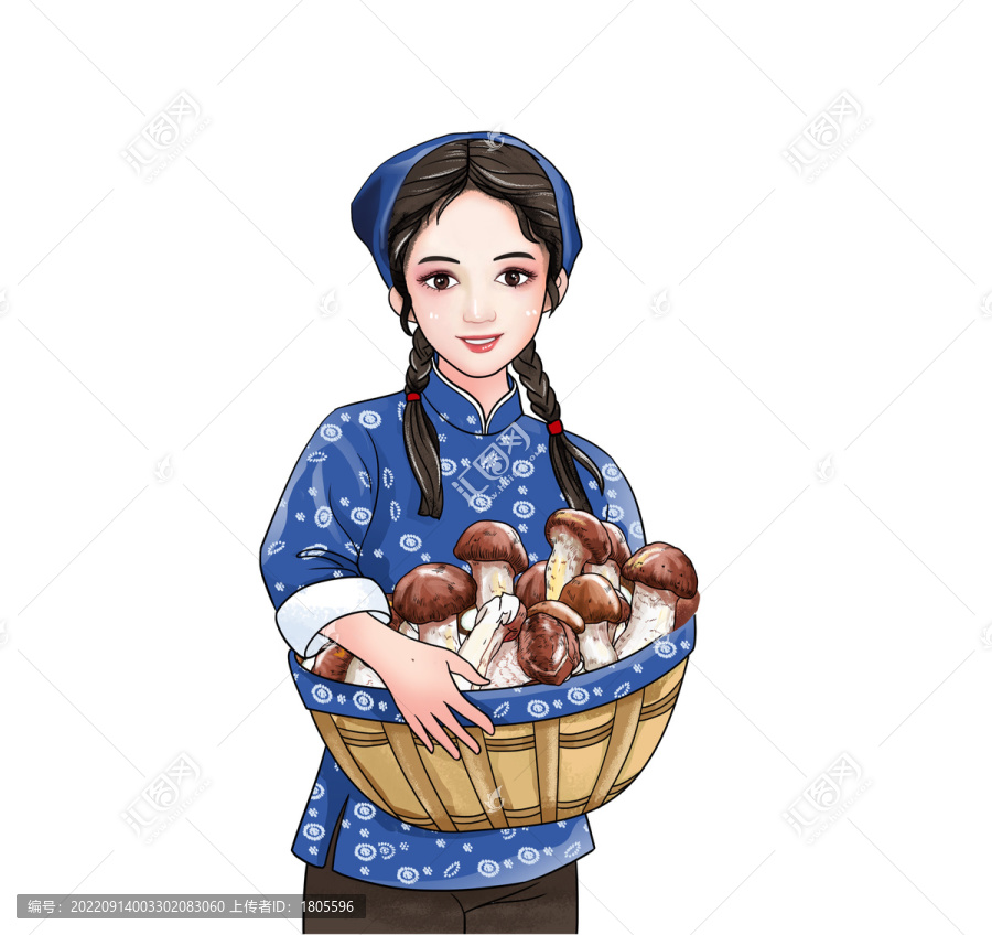 采蘑菇的小女孩松茸插畫