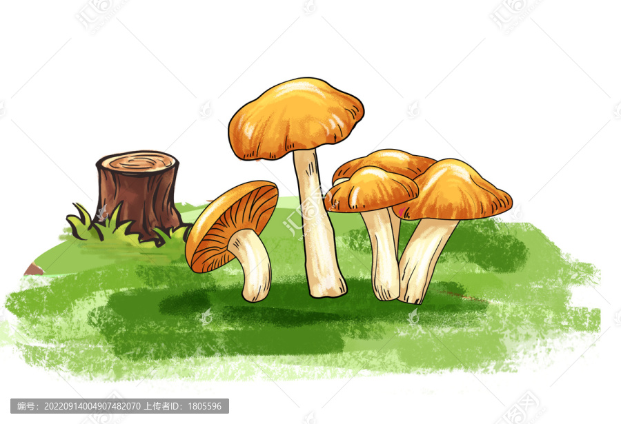 松菇插畫分層