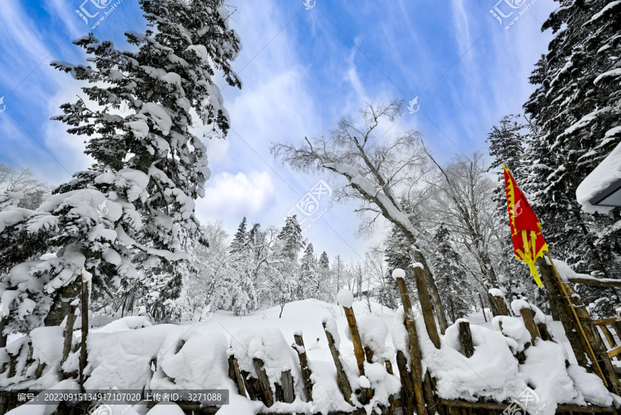 冬天雪屋森林雪地积雪蓝天雪景