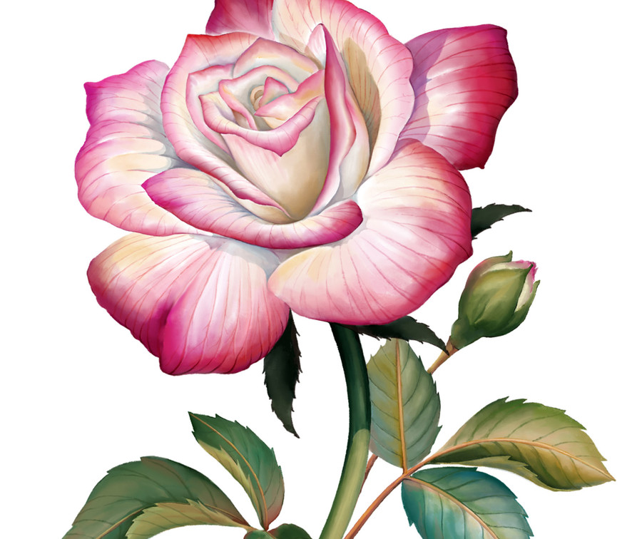 愛情花開