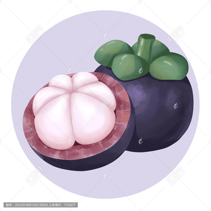 手繪水果山竹插畫