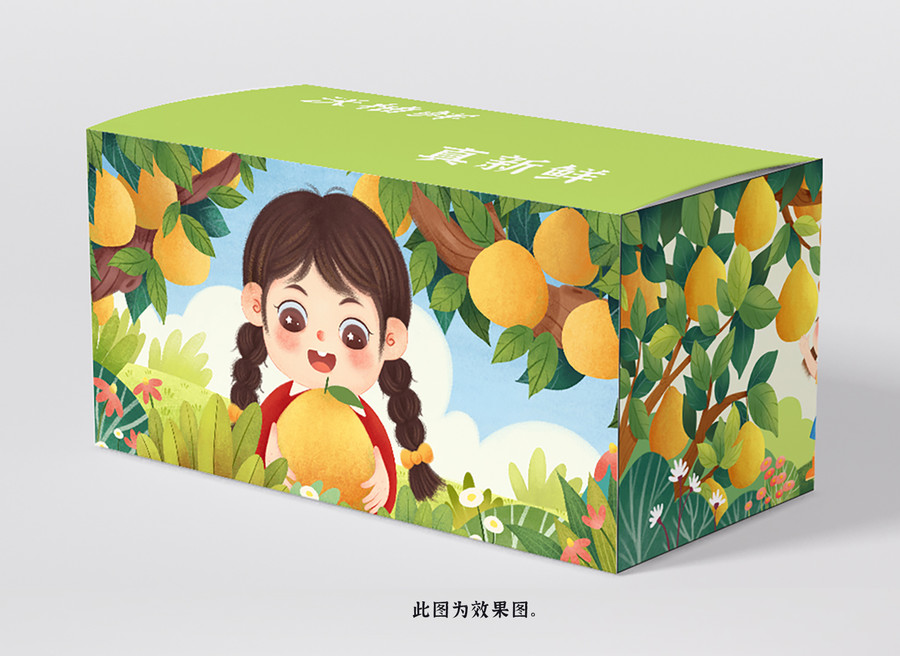柚子包裝插畫(huà)