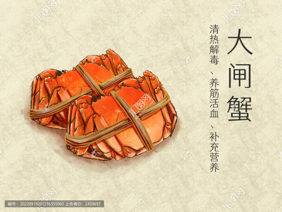 手繪水彩美食大閘蟹插畫