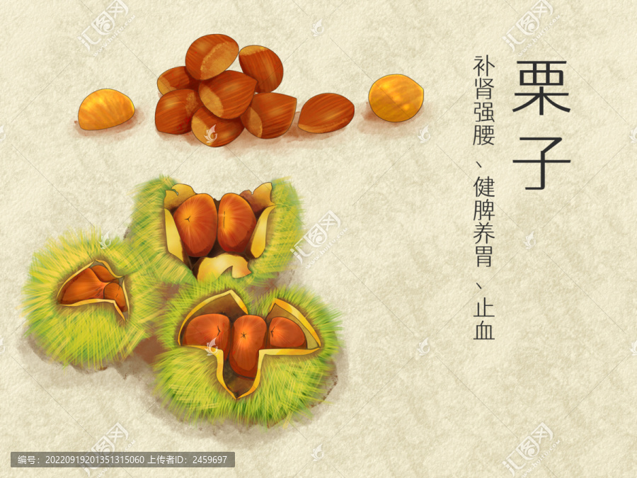 手繪水彩食物栗子插畫