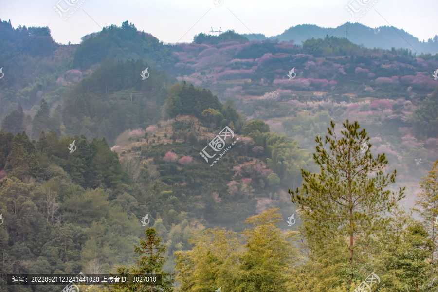 卖花渔村