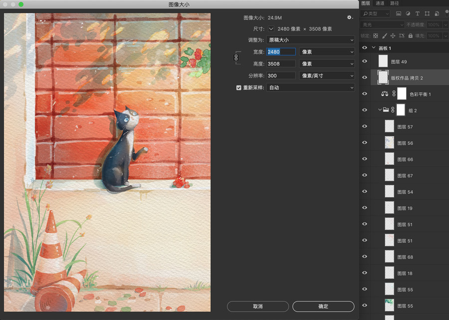 貓咪小清新插畫