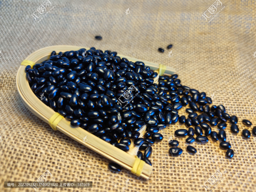 黑小豆大豆