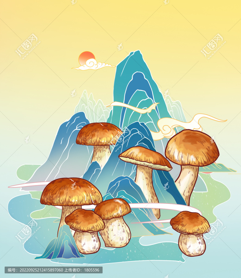 牛肝菌插畫