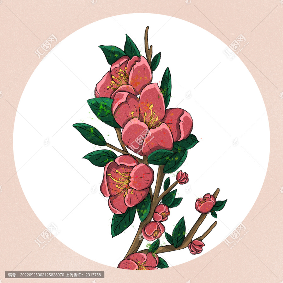 古風手繪紅色桃花插畫