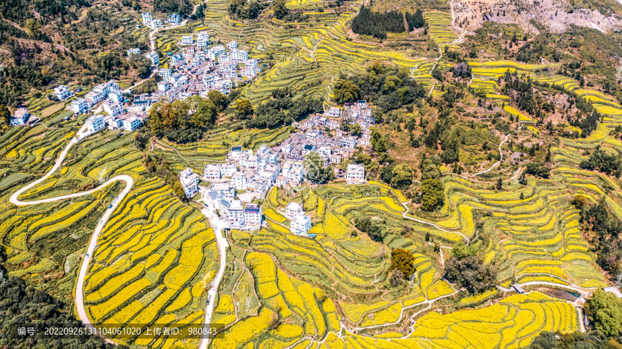 婺源江岭油菜花航拍