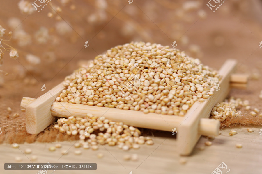 玻利维亚进口白藜麦