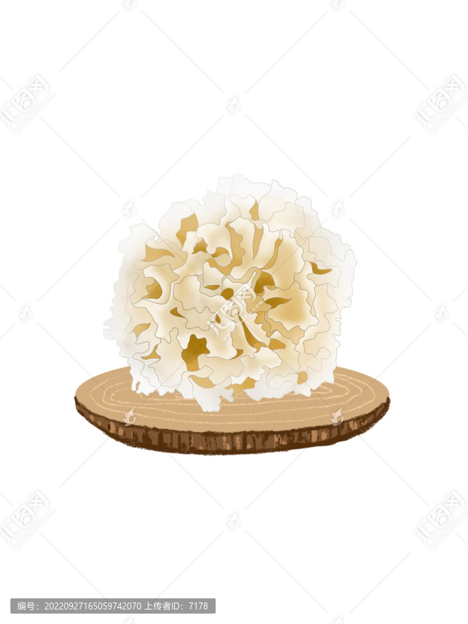 蘑菇大百科繡球菌
