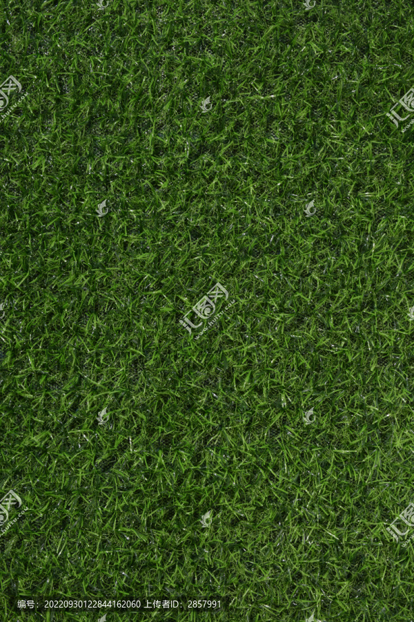 绿色草地纹理贴图