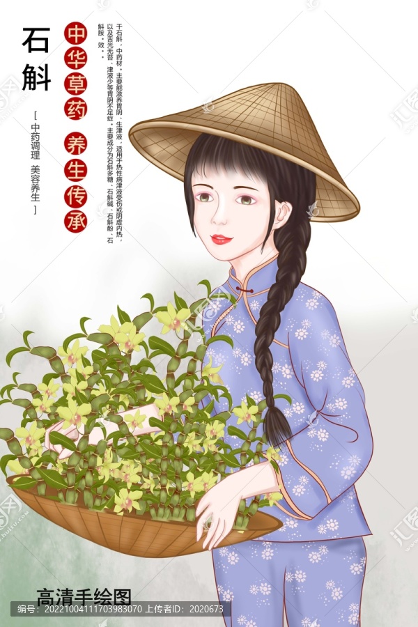鐵皮石斛插畫