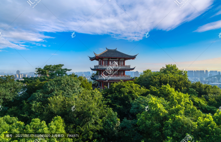 绍兴市府山公园